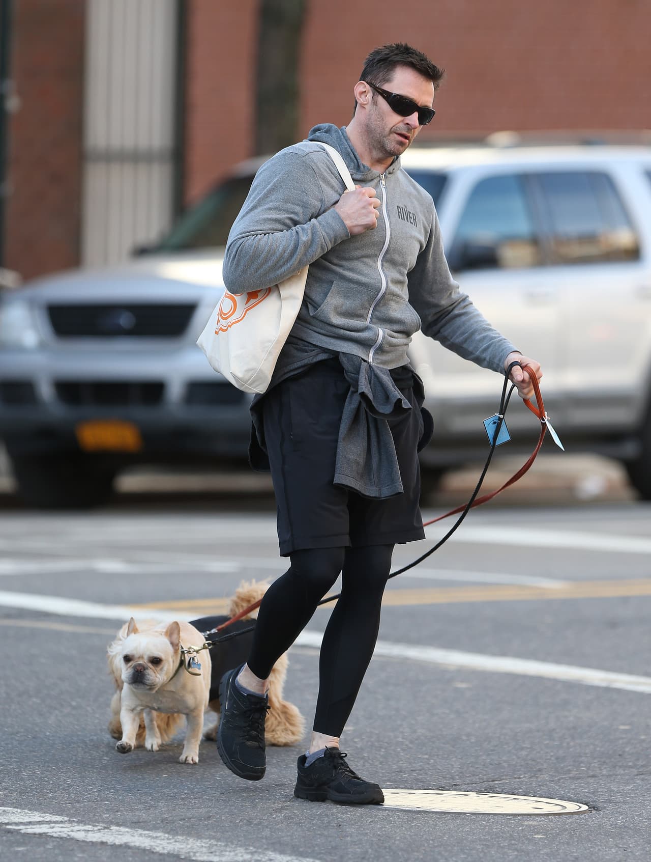 Hugh Jackman no suelta a sus perritos cada vez que sale a pasear.