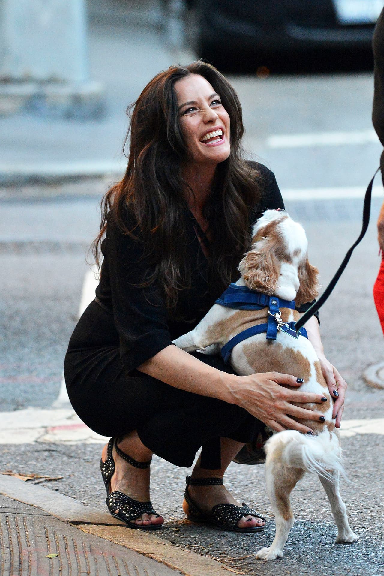 Cada día Liv Tyler sonríe al ver a su can acercarse.