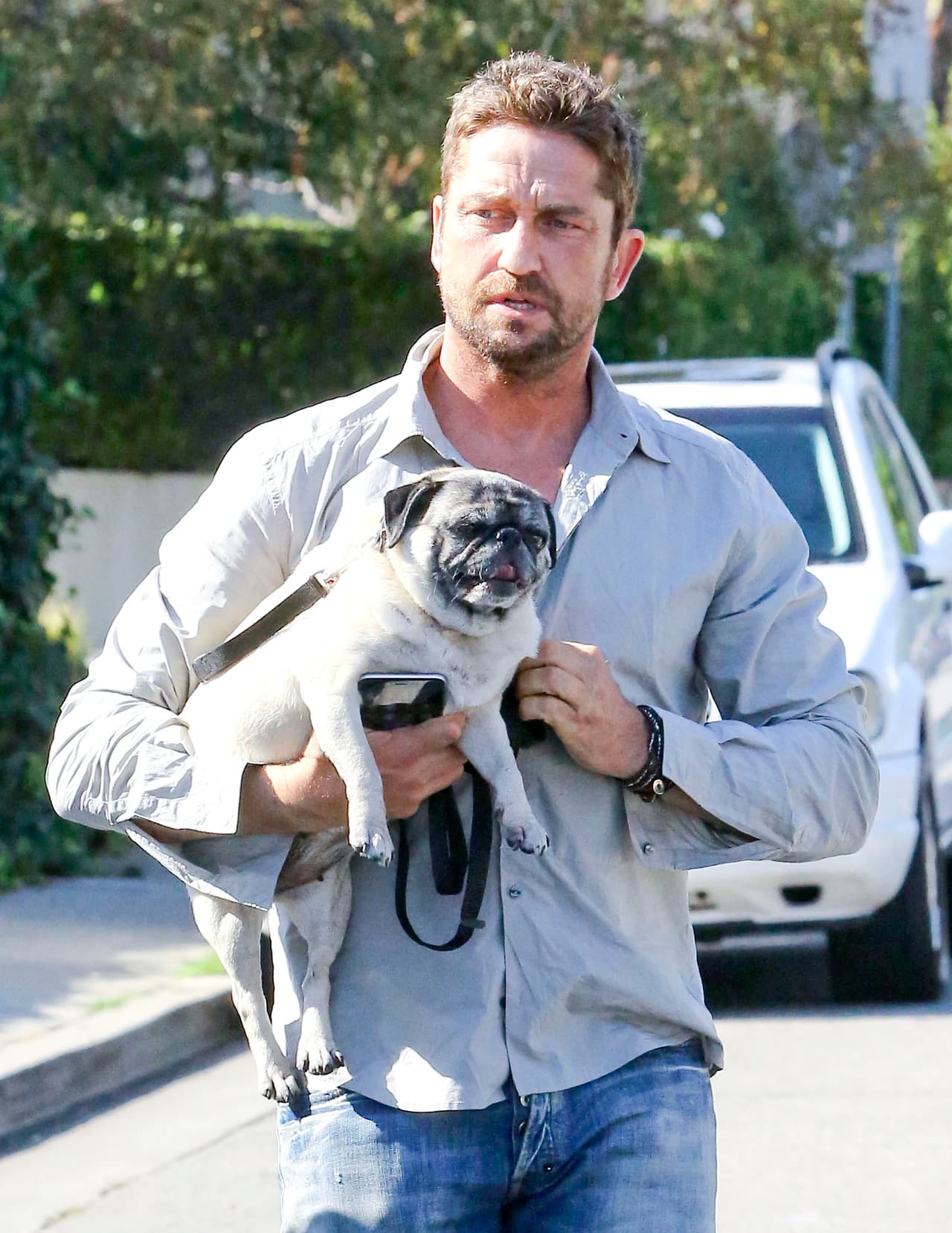 Hasta los más rudos quedan encantados con los ojos de los pugs, ¿verdad, Gerard Butler?
