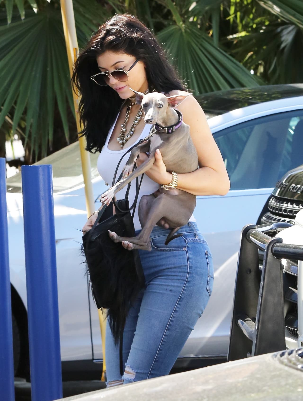 Kylie Jenner sabe que se ve mucho más guapa cargando un cachorrito.