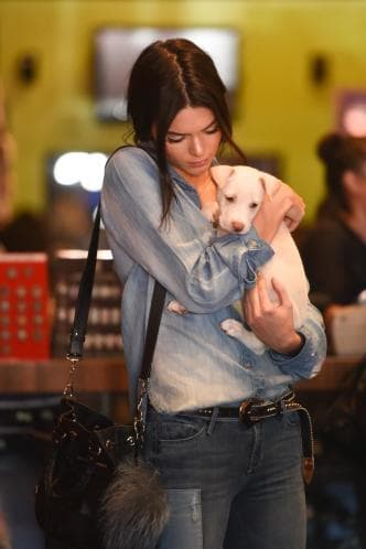 A los perros no les importa que sus humanos sean famosos como Kendall Jenner: lo único que saben es cuánto los quieren.
