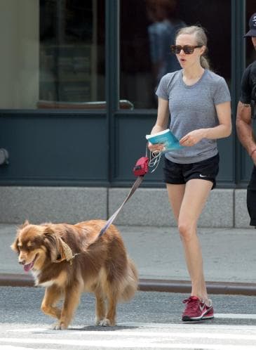 ¡No hay nadie que ame más a su cachorro que Amanda Seyfried! Está muy orgullosa de Finn y su comportamiento.
