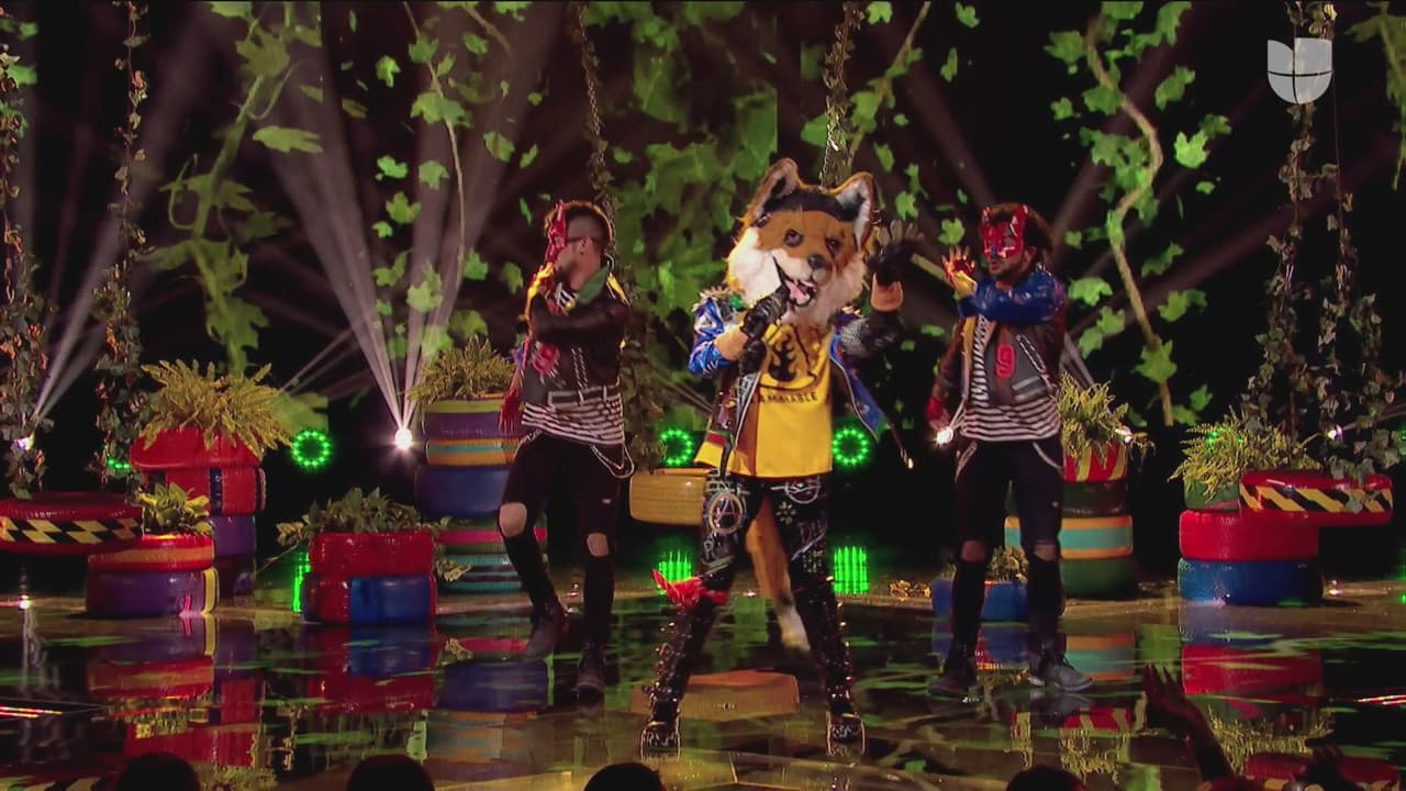 El turno de Zorro llegó y nos regaló una mágica interpretación del tema 'Prometiste' de Pepe Aguilar.