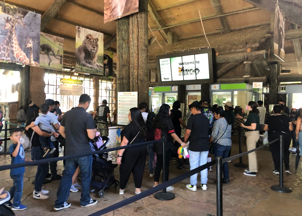 Si no fuiste parte de este increíble evento, no te quedes con las ganas de visitar el Zoológico de Chaffee y conocer a las 200 especies de animales que lo habitan.