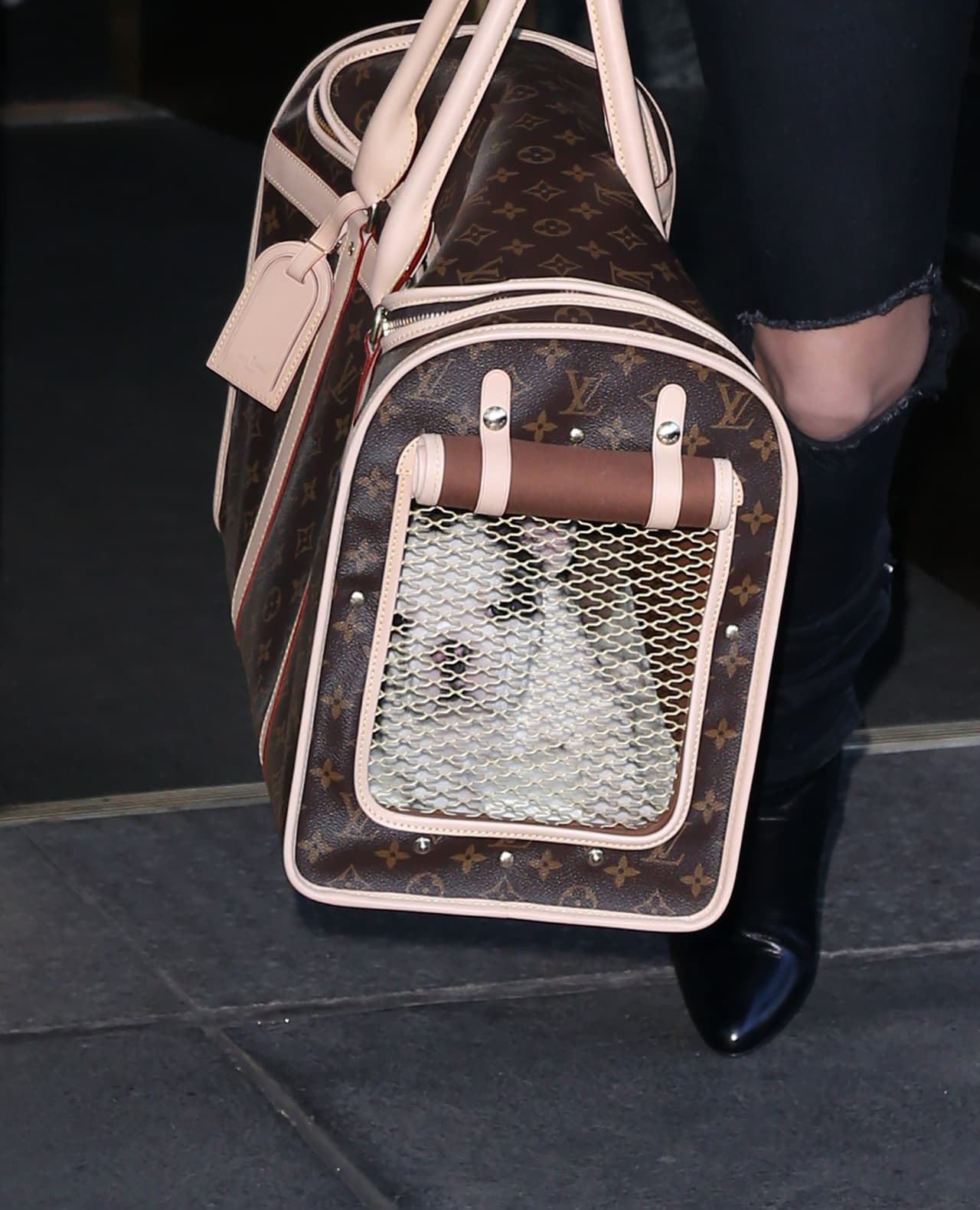 Lady Gaga y su perrito