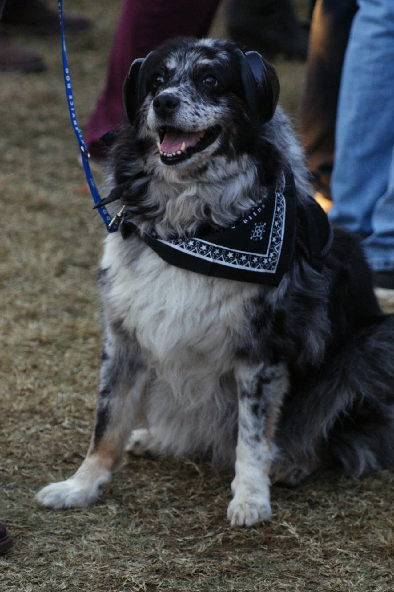 Miles se divirtieron en festival de música Fun Fun Fest este fin de semana en la capital de Texas.