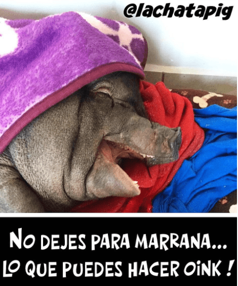 ¿Así o más divertido?