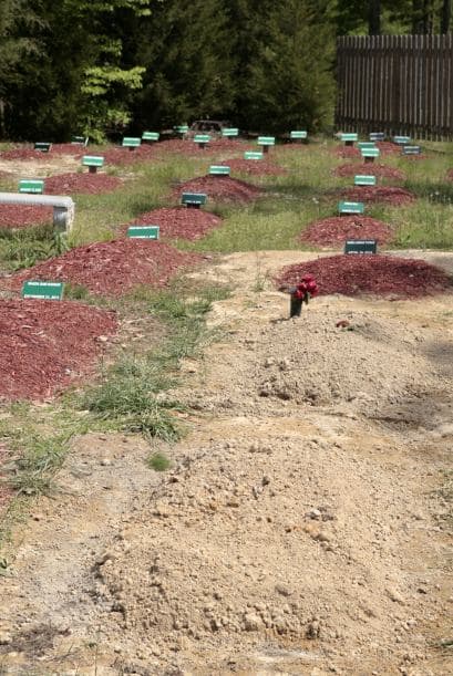 Según el Boston Globe, el traslado a Virginia fue coordinado por una mujer de Virginia y la Islamic Society of Greater Richmond desde la funeraria de Worcester, en Massachusetts, donde estuvo durante más de una semana.