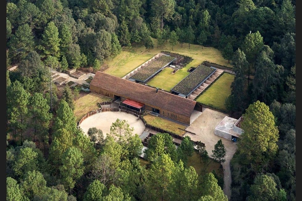 Desvío de dinero, lujosas propiedades y caballos pura sangre: así dejó Javier Duarte en quiebra a Veracruz