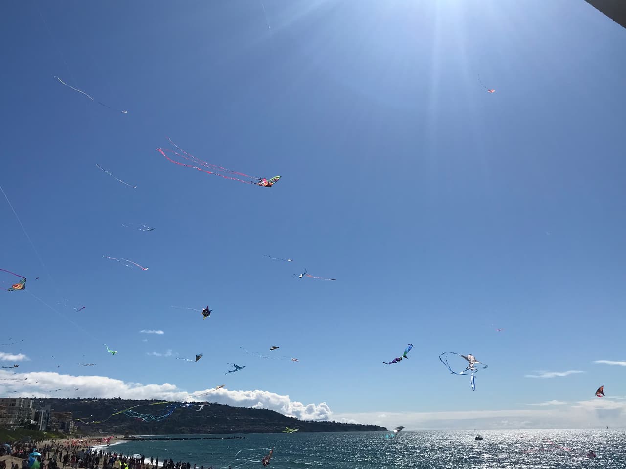 Solo necesitas protejerte del sol y estar listos para hacer nuevos amigos.