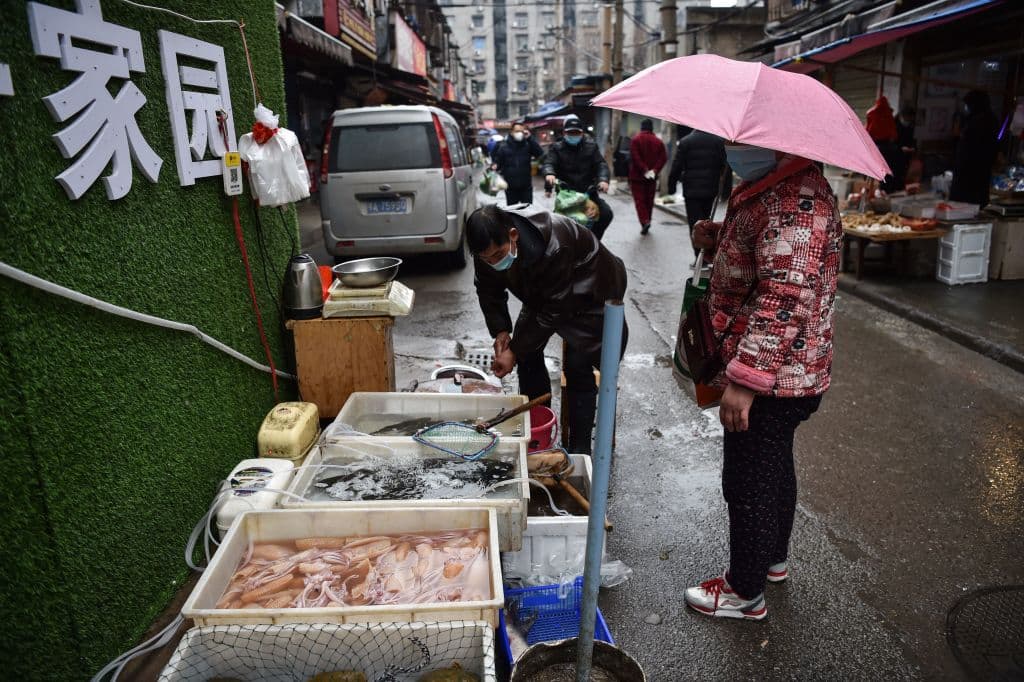Sin bien Wuhan, donde se originó el coronavirus, no es una ciudad marítima, la enfermedad muchos dicen que surgió en un mercado de mariscos, lo que les parecería suficiente para relacionarlo.