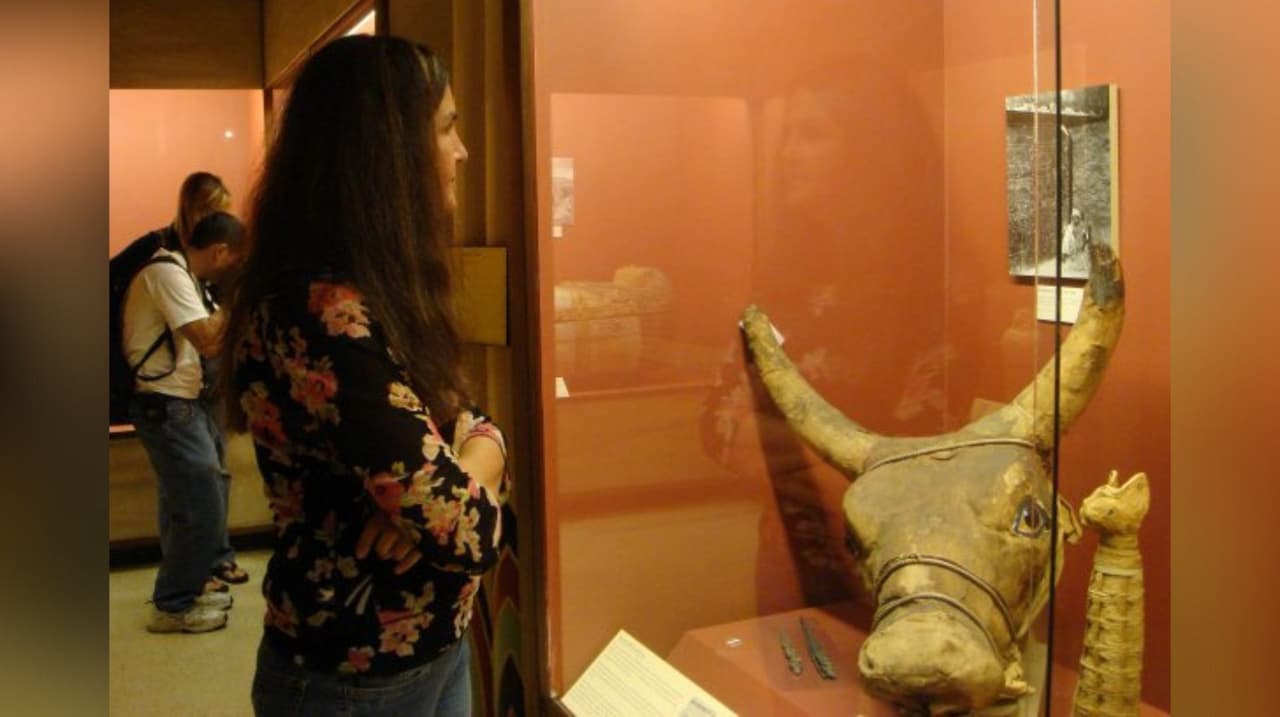 Los boletos van de los $8 a los $10 y los niños menores de 6 años entran gratis.
<br>