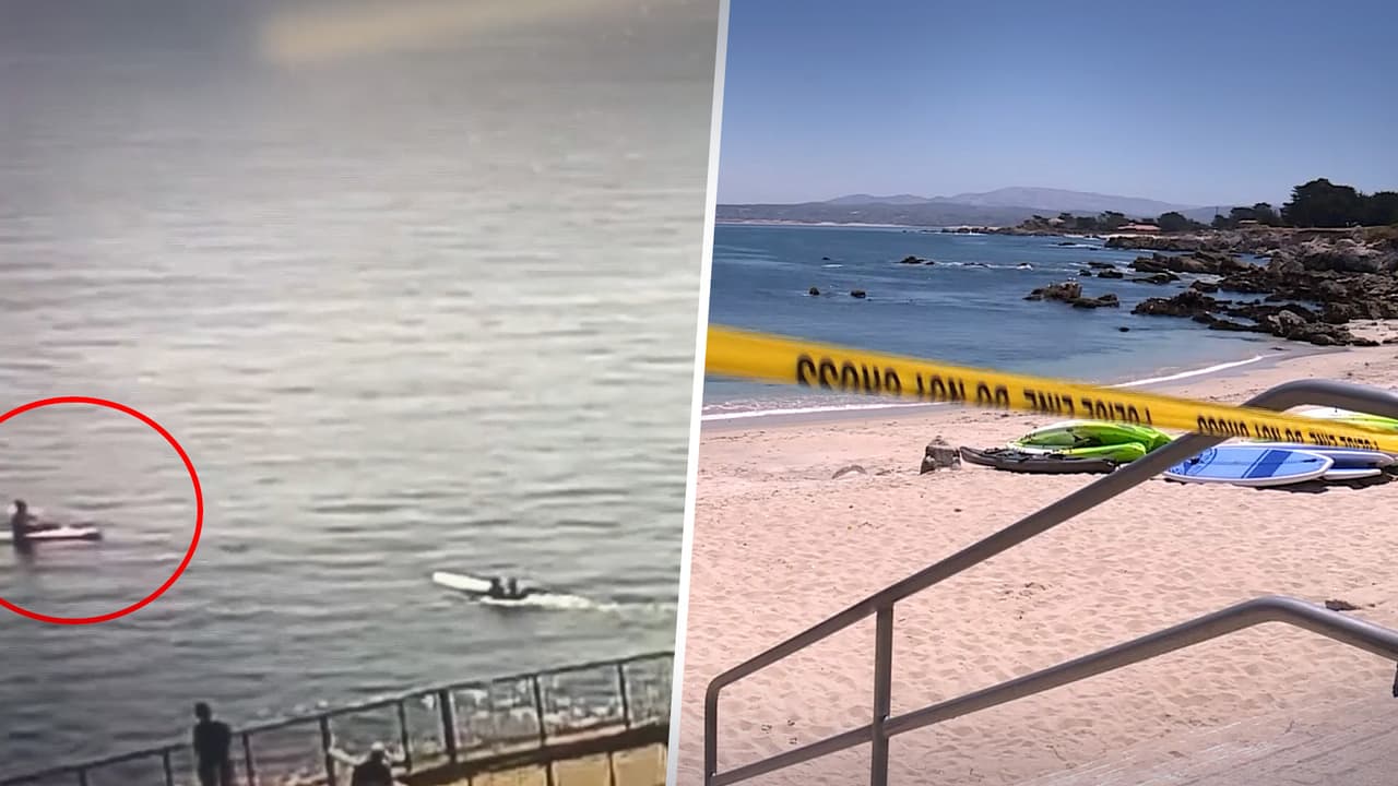 Un policía y una enfermera de Sacramento rescatan a un hombre del ataque de un tiburón