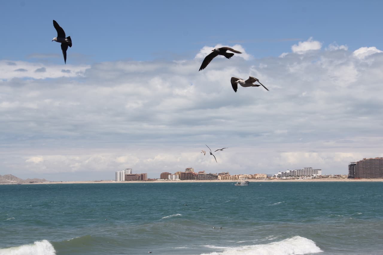 Arizona no tiene playa, pero tendra un 'puerto marítimo' en México