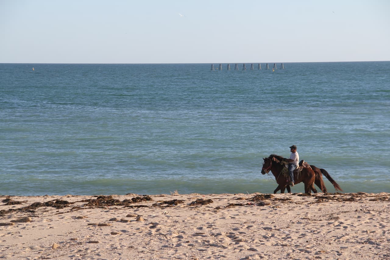 En la playa, puedes alquilar caballos para ir de paseo.