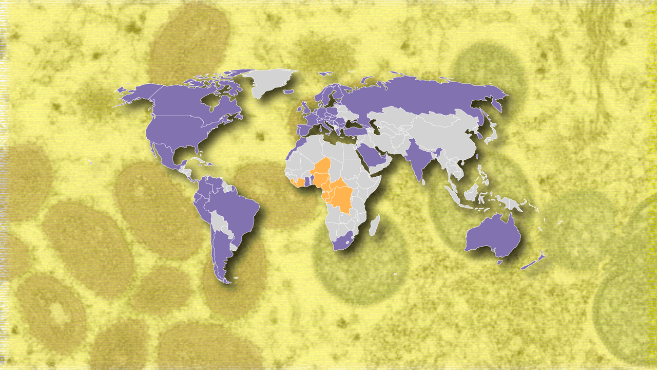 “Emergencia global” de la viruela del mono: estos mapas te muestran la situación en EEUU y el mundo