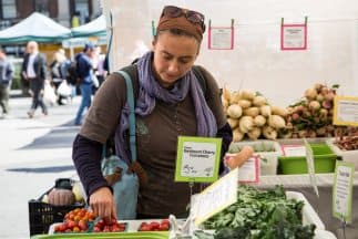 <b>Asistencia alimentaria</b>
<br>El Programa de Asistencia Nutricional Suplementaria (SNAP) proporciona casi $ 200 / mes en asistencia alimentaria a individuos y hasta aproximadamente $ 650 / mes para una familia de cuatro. Los sitios de distribución de alimentos en toda la ciudad están diseñados para garantizar que los habitantes de Filadelfia tengan suficiente para comer, pero SNAP puede proporcionar aún más ayuda.
<br>
<br>
<b>Puntos destacados de elegibilidad:</b>
<br>Ingresos de menos de $ 1,300 / mes para una persona soltera a $ 2,790 / mes para una familia de cuatro.