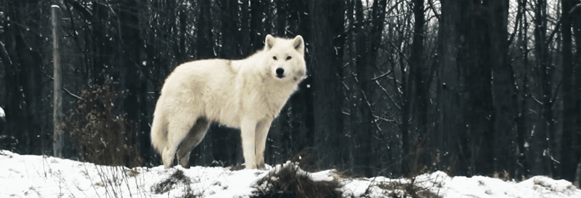 “Seguimos la historia, donde vamos atrás en el tiempo un poco… “- dijo Jessy Terrero (Director del video musical de Obsesionado).