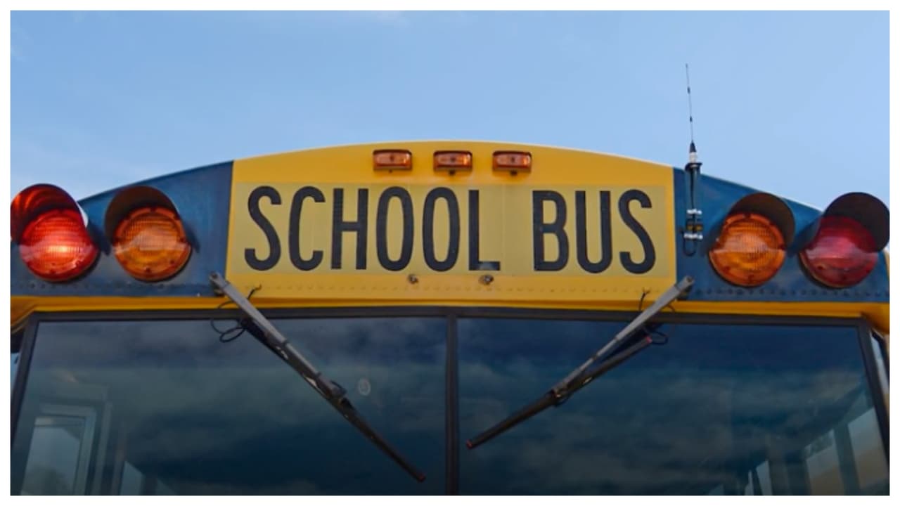 Cómo una niña de 6 años pudo morir asfixiada por un cinturón en un bus escolar

