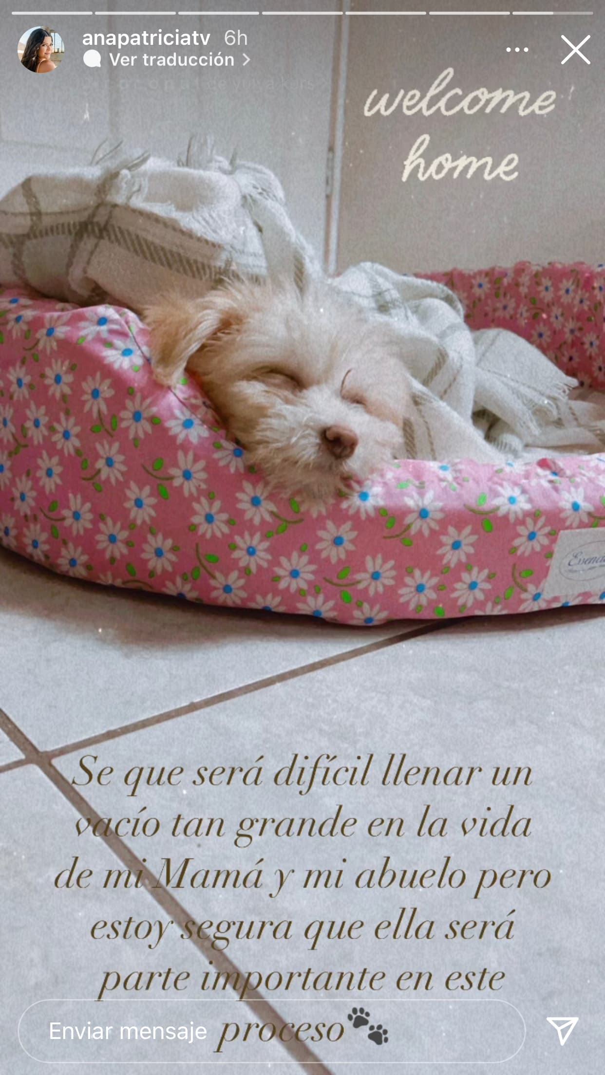 Ana Patricia Gámez presentó a su recién adoptada perrita, quien dijo será pieza clave para ayudarlos a superar la profunda pérdida. 
<br>