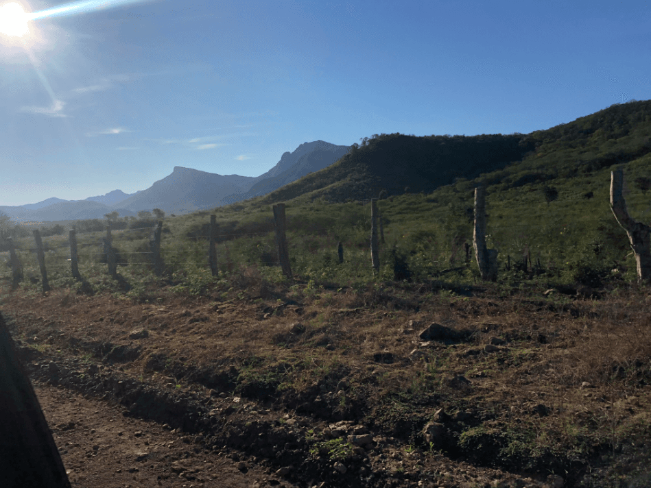 Los laboratorios están ubicados en parajes rurales de Sinaloa, donde trabajan en condiciones rudimentarias.