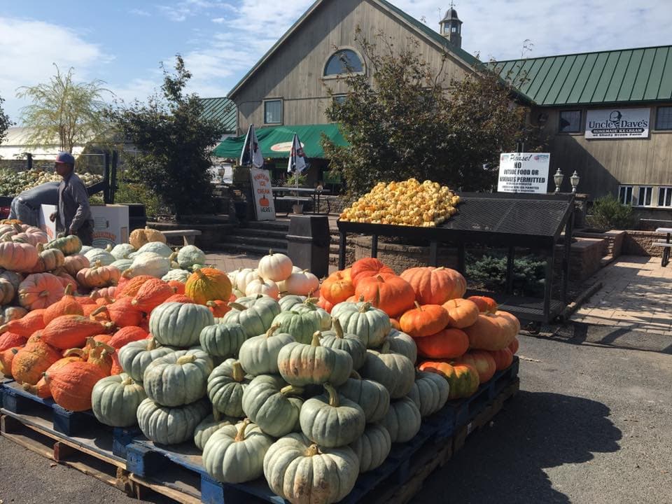 <a href=" http://shadybrookfarm.com/"><b>Shady Brook Farm</b> </a>
<br>Durante el otoño esta granja ofrece a sus visitantes como paseos en carretas, cosechas de calabazas y atracciones como un laberinto de maíz gigante.