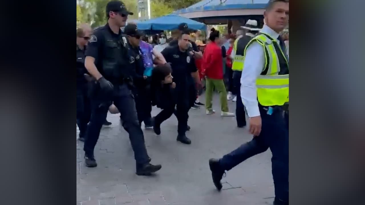 Un registro a nombre de Andy Alfredo Gómez revela que cuenta con 
<a href="https://unicourt.com/case/ca-orr1-gomez-andy-gomez-andy-alfredo-et-al-57550">otros antecedentes criminales en el condado de Orange</a>, a donde pertenece la ciudad de Anaheim.
<br>
<br>Entre los cargos que ha enfrentado en 2020 están 
<b>abuso y peligro infantil, violación de la orden de protección y lesiones corporales al cónyuge.</b> El primer cargo fue desestimado, mientras que por los dos siguientes se declaró culpable. En 2021 enfrentó cargos por violación a la libertad condicional.