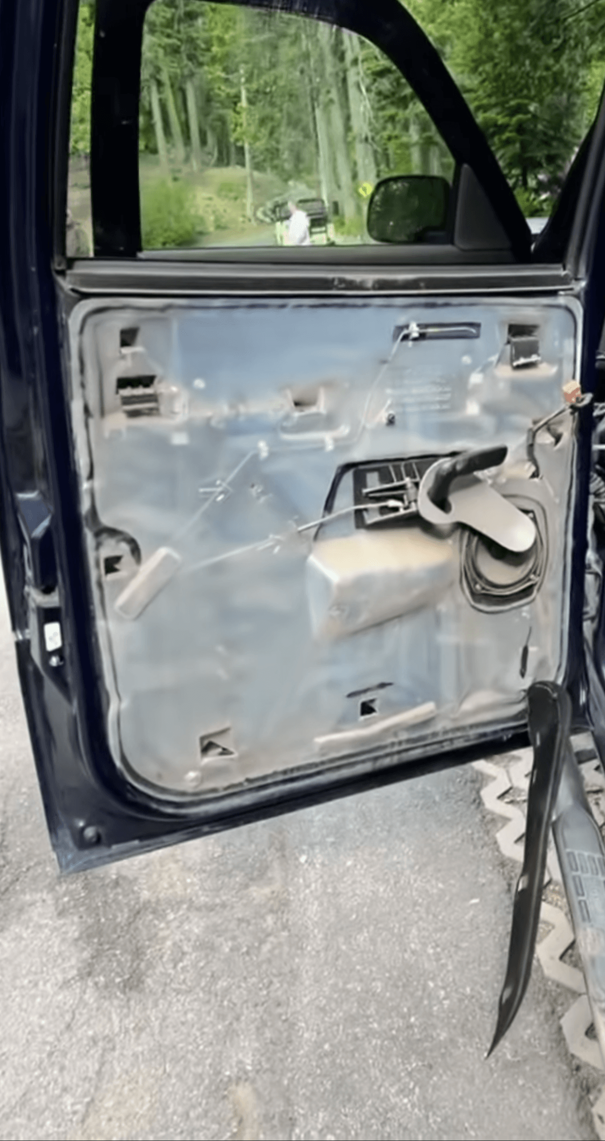 Oso destruye automóvil en Lake Tahoe