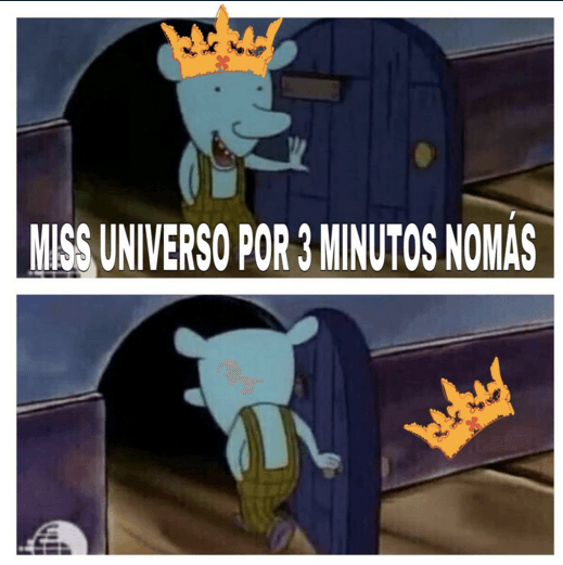 Los memes de la polémica coronación de Miss Universo 2015.