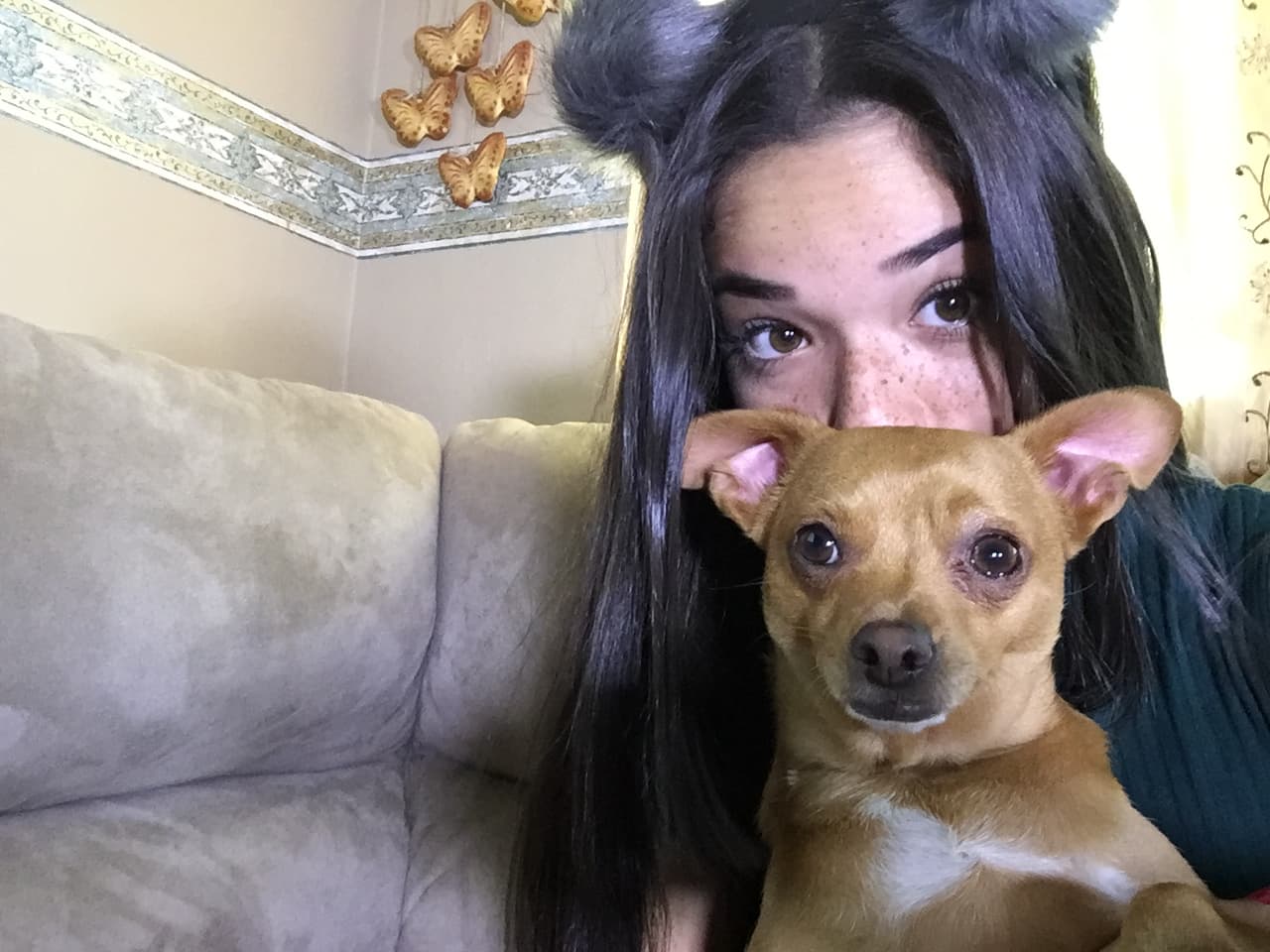 Taishamara tiene cuatro perros.