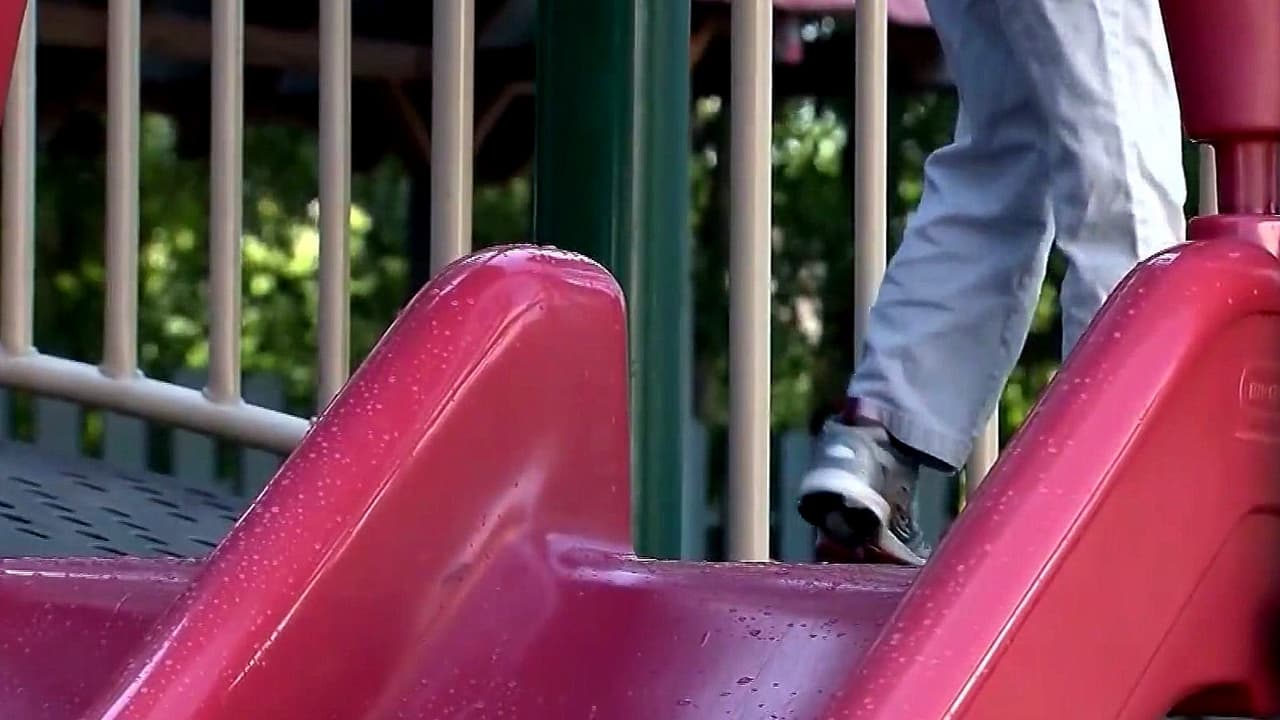 Condenan a seis meses de cárcel a una madre de Virginia que permitió a su hijo pasear solo