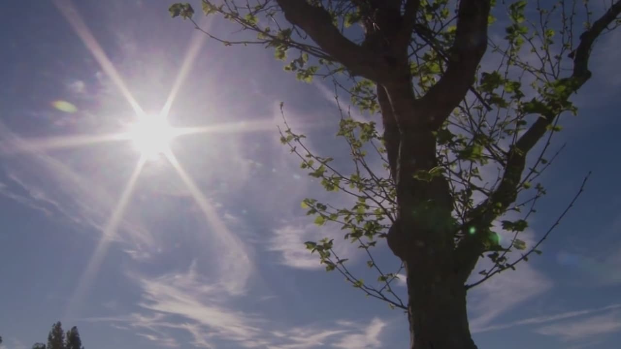 Ola de calor eleva temperaturas y mantiene en alerta al sur de California