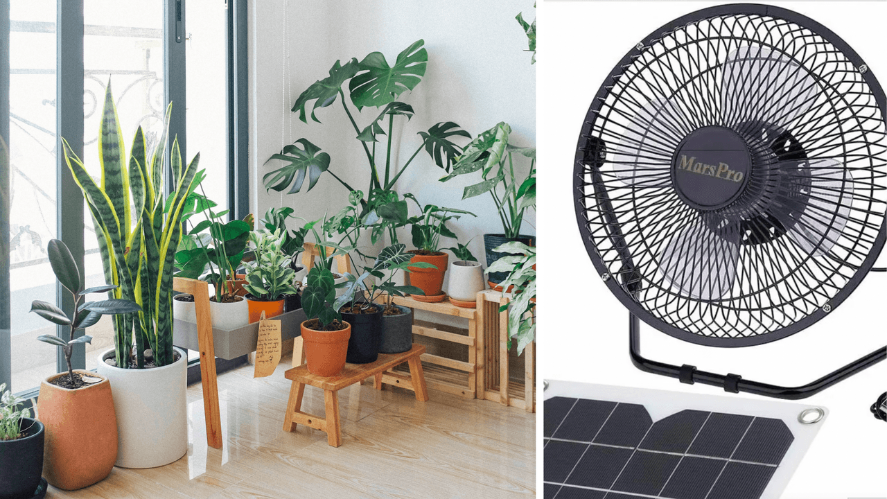 Ante las altas temperaturas que experimentará la región esta temporada, es importante que mantengas tu hogar bajo las condiciones adecuadas para que tu familia y tú estén protegidos. Miembros de la comunidad comparten algunas prácticas que aplican en sus viviendas para que permanezcan frescas, como dejar el termostato en un nivel estable y no abrir constantemente puertas y ventanas para que no se escape el frio del aire acondicionado.