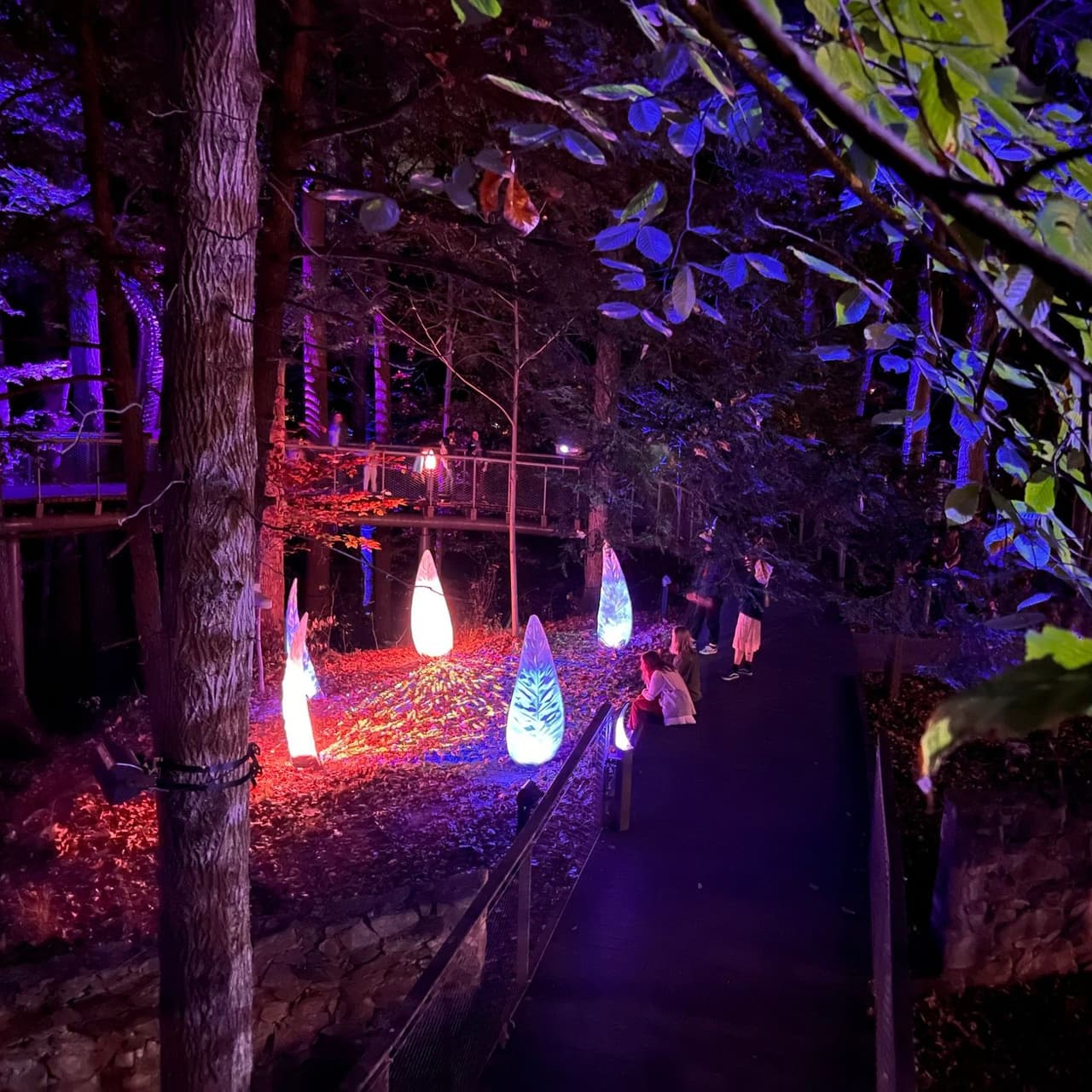 <b>Evento</b>: WildWoods AGLOW
<br>
<b>Fecha</b>: Desde el 10 de noviembre hasta el 25 de febrero
<br>
<b>Lugar</b>: Fernbank Museum of Natural History. 767 Clifton Rd NE. Atlanta, GA. 30307
<br>
<b>Sitio web</b>: 
<a href="https://www.fernbankmuseum.org/aglow">https://www.fernbankmuseum.org/aglow</a> 
<br>
<br>Esta nueva experiencia nocturna de duración limitada ofrece una experiencia diferente dentro de WildWoods, un hábitat natural de 10 acres detrás del museo. Destacando las historias complejas, conectadas y a veces ocultas que florecen en el bosque circundante, esta innovadora experiencia reúne el vasto entorno natural con las últimas innovaciones en tecnología y diseño inmersivo.