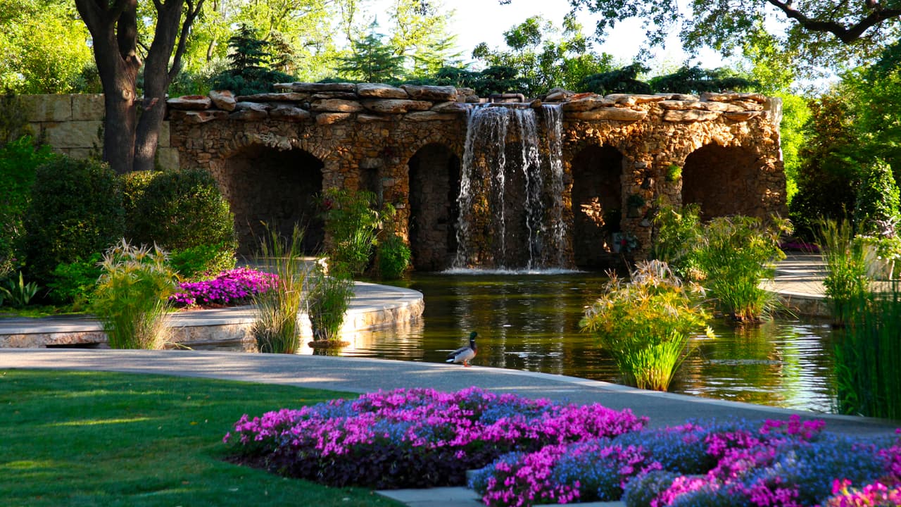 Para entrar al lugar 
<b>necesitas comprar las entradas de forma anticipada</b> y con un horario establecido. Puedes llamar al número 
<b>214-515-6615</b>, o entrar a la página web 
<a href="https://reservations.dallasarboretum.org/Info.aspx?EventID=136" target="_blank">dallasarboretum.org</a>
<br>
<b>El estacionamiento tiene un costo de $15</b>, al pagar en la puerta, o $11 al pagarlo en línea.