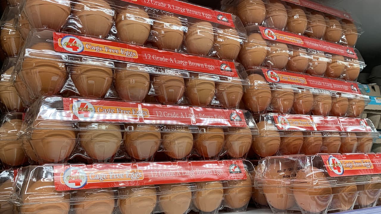 En H-E-B algunos de los precios por docena de huevos fueron los siguientes: $4.89, $5.59, $6.05 y $6.68.