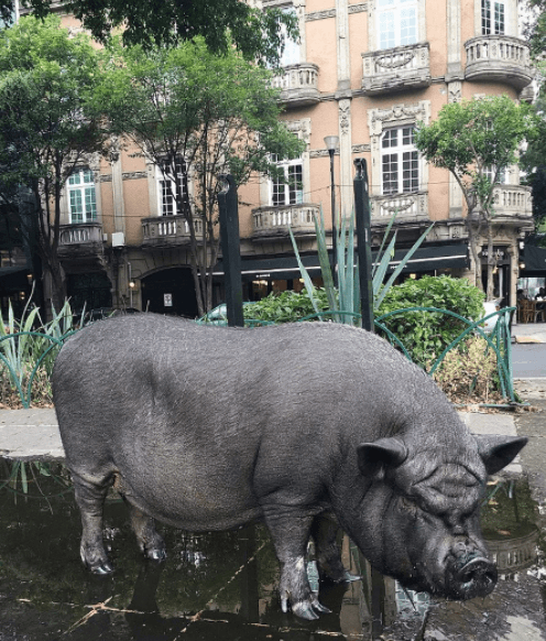 La Chata se ha vuelto una parte del folclor de su barrio.