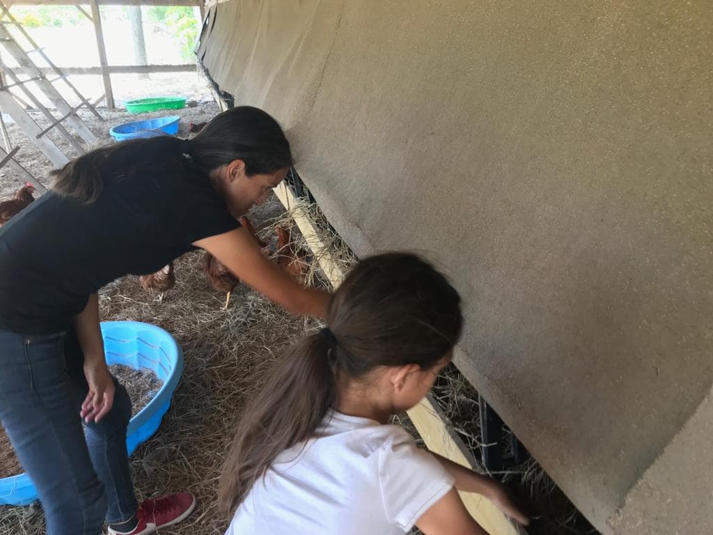 "Estoy sin palabras” escribió la dueña de la finca en la cuenta de Instagram de ‘Hay huevo y papaya’. “Muchas gracias por toda la ayuda”, dijo en un mensaje junto a su hija.