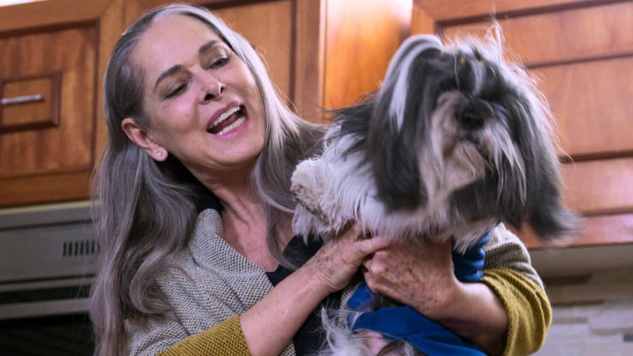 Resumen de La Rosa de Guadalupe capítulo 'Los quince de Rubí'