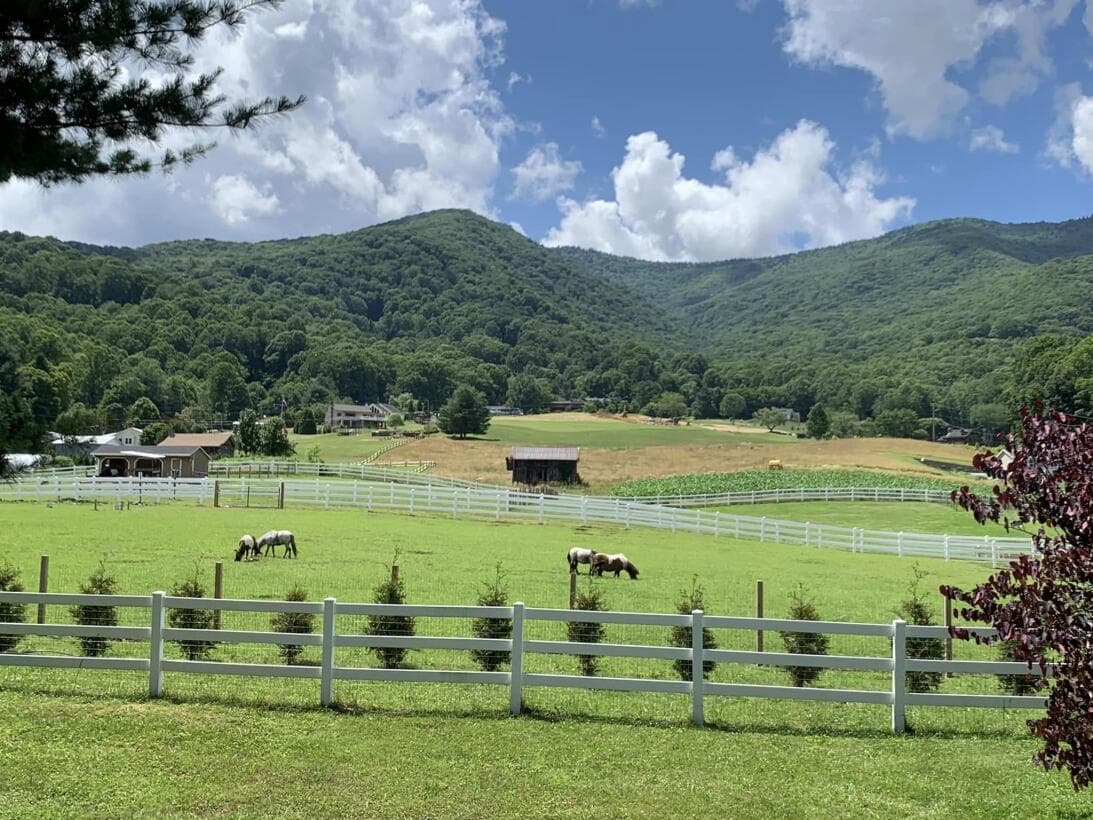 <b>3. Date una vuelta por las granjas locales. </b>Si siempre te has quejado de que no queda tiempo para visitar el campo, hoy es tu oportunidad. Ve a una de las mejores granjas que tiene el estado y recoge los frutos con tus propias manos, mientras pasa un día de diversión al aire libre.