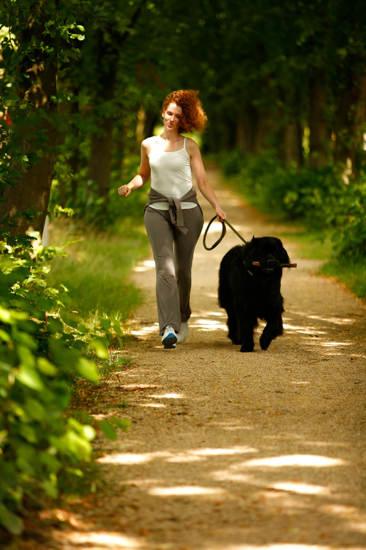 Tener un perro, o más de uno, es toda una experiencia. Nos derriten con su ternura, nos regalan sus travesuras y fidelidad. Por simple que parezca, dedicar tiempo para sacar a pasear a tu amigo de cuatro patas tiene muchos beneficios.