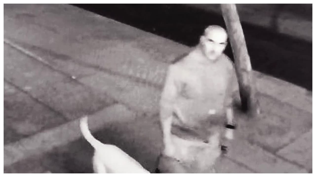 Hombre vandaliza centro pro LGBT arrojando heces de perro en Bell, California