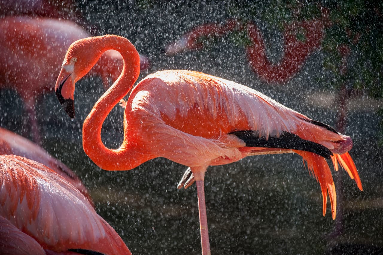 Un bello dia fue perfecto para las familias desde Bakersfield a Modesto.