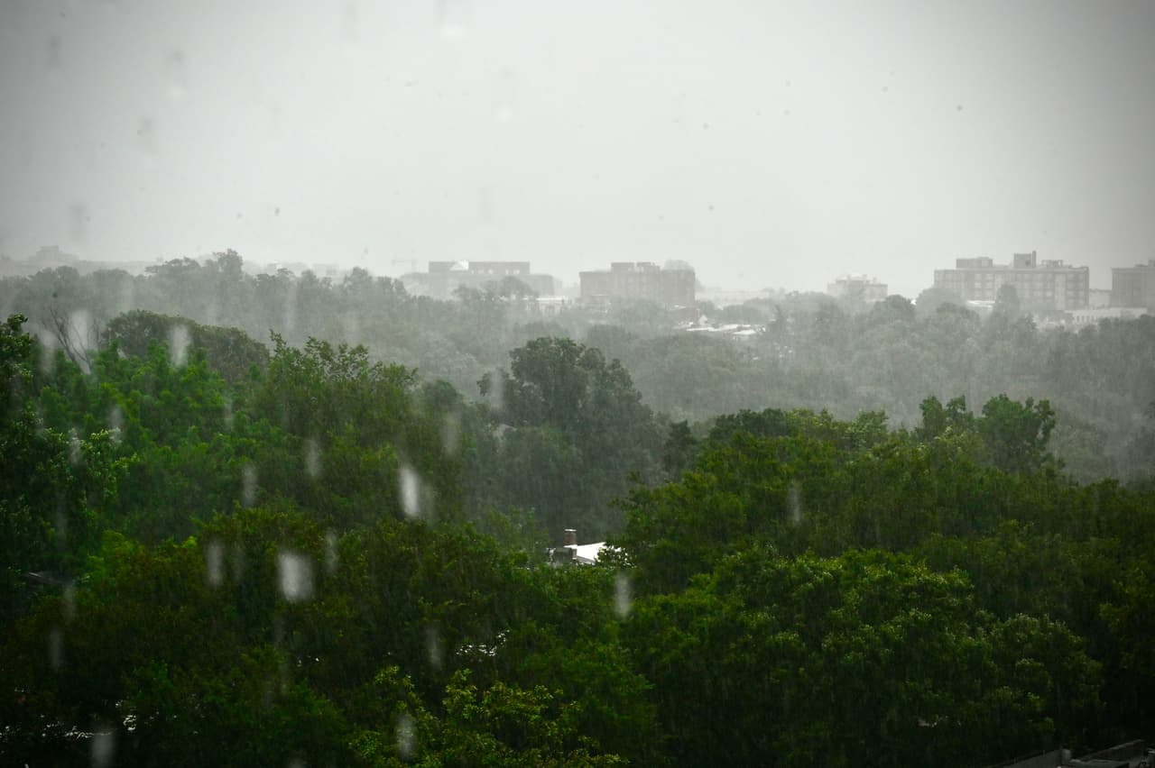 La tormenta tropical continúa su paso hacie el sureste del país. 
<a href="https://www.univision.com/local/philadelphia-wuvp/tormenta-isaias-llega-a-nuestra-region-con-fuertes-lluvias-y-vientos-mientras-se-activan-amenazas-de-tornados">Las lluvias dispersas continuarán moviéndose hasta Filadelfia y Nueva Jersey.</a> Para seguir el recorrido de Isaías, descargue la 
<a href="https://univisionnc.onelink.me/MgDz/6a7eb612" target="_blank">App Univision 40 NC.</a>
