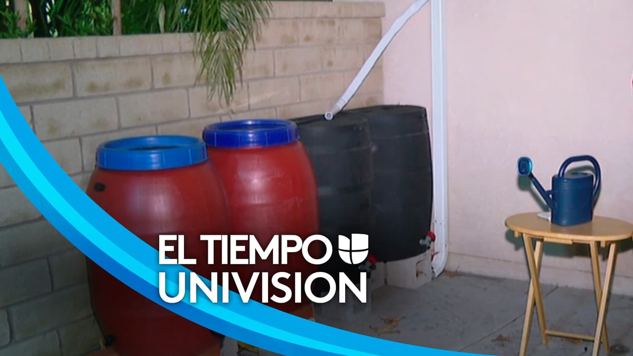 Las lluvias en California pueden ayudarte a ahorrar agua en casa: te contamos de qué manera hacerlo