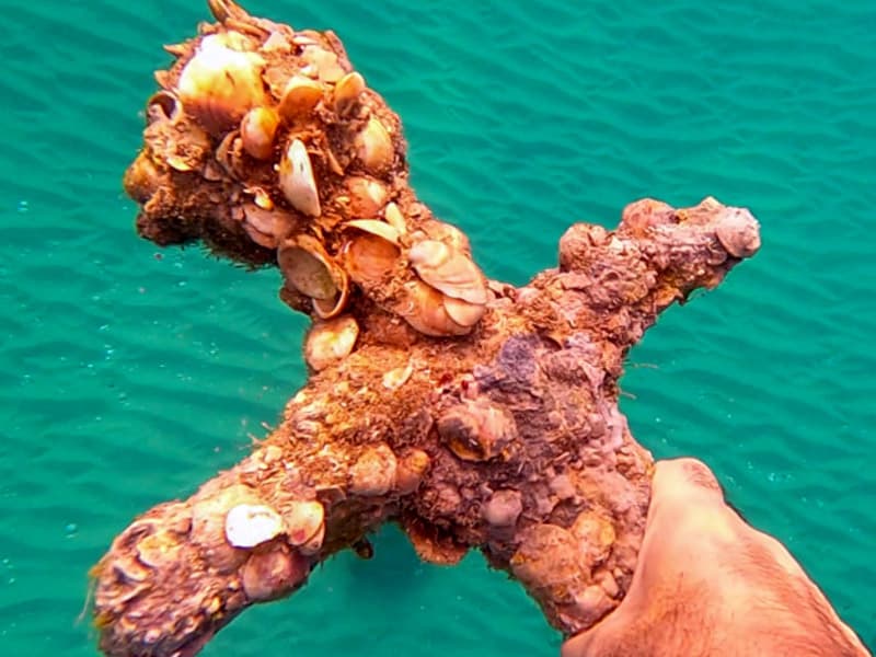 Buceador encuentra una impresionante espada de las Cruzadas de 900 años de antigüedad