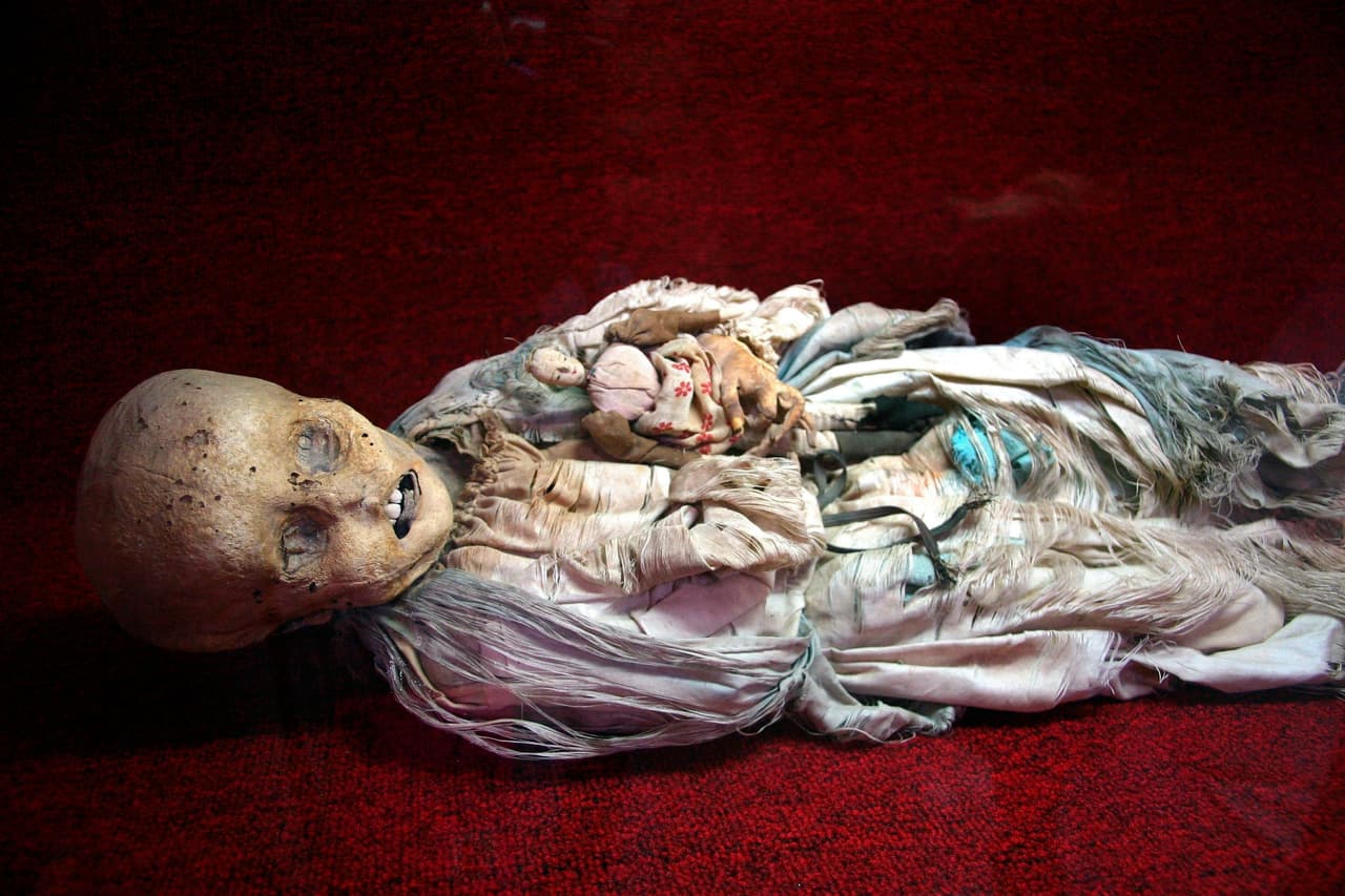 ¿Quiénes fueron? Durante la ‘tercera pandemia de cólera’, un brote de esta enfermedad que mató cerca de un millón de personas en todo el mundo entre 1852 y 1860, México aprobó una ley que requería que los familiares de los difuntos pagasen un impuesto por conservar su espacio en los panteones. 
<a href="https://www.univision.com/noticias/salud/20-enfermedades-que-transformaron-al-mundo-las-epidemias-mas-devastadoras-de-la-historia-fotos-fotos"><u>Vea aquí las fotografías de las 20 epidemias más devastadoras de la historia</u></a>
<br>