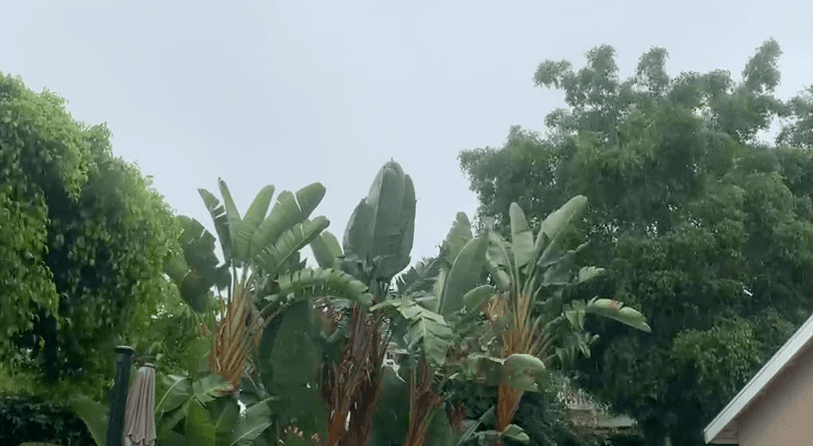 En Mission Viejo, al noreste de Los Ángeles en el condado Orange, más que la lluvia, era el viento el que en horas de la mañana aumentaba su potencia.