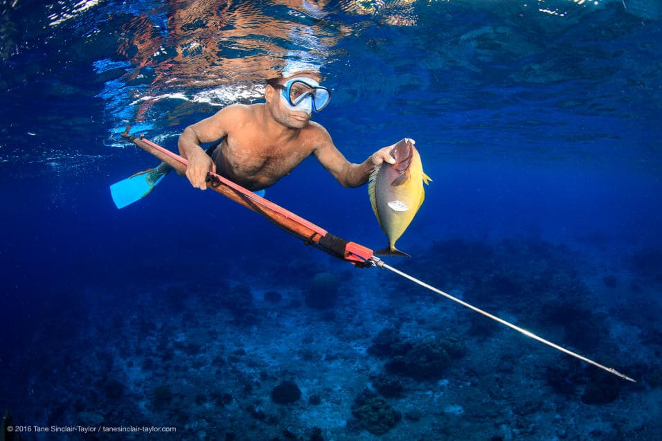 Local fishermen play a vital role in the proper management of reefs, because they know the reefs better than others and therefore help keep them healthy, the study found. This is a bright spot for those who protect the oceans, as these practices can be used as a model to improve the welfare of the ocean and human health across the world. In this picture, a fisherman in New Ireland, Papua New Guinea.