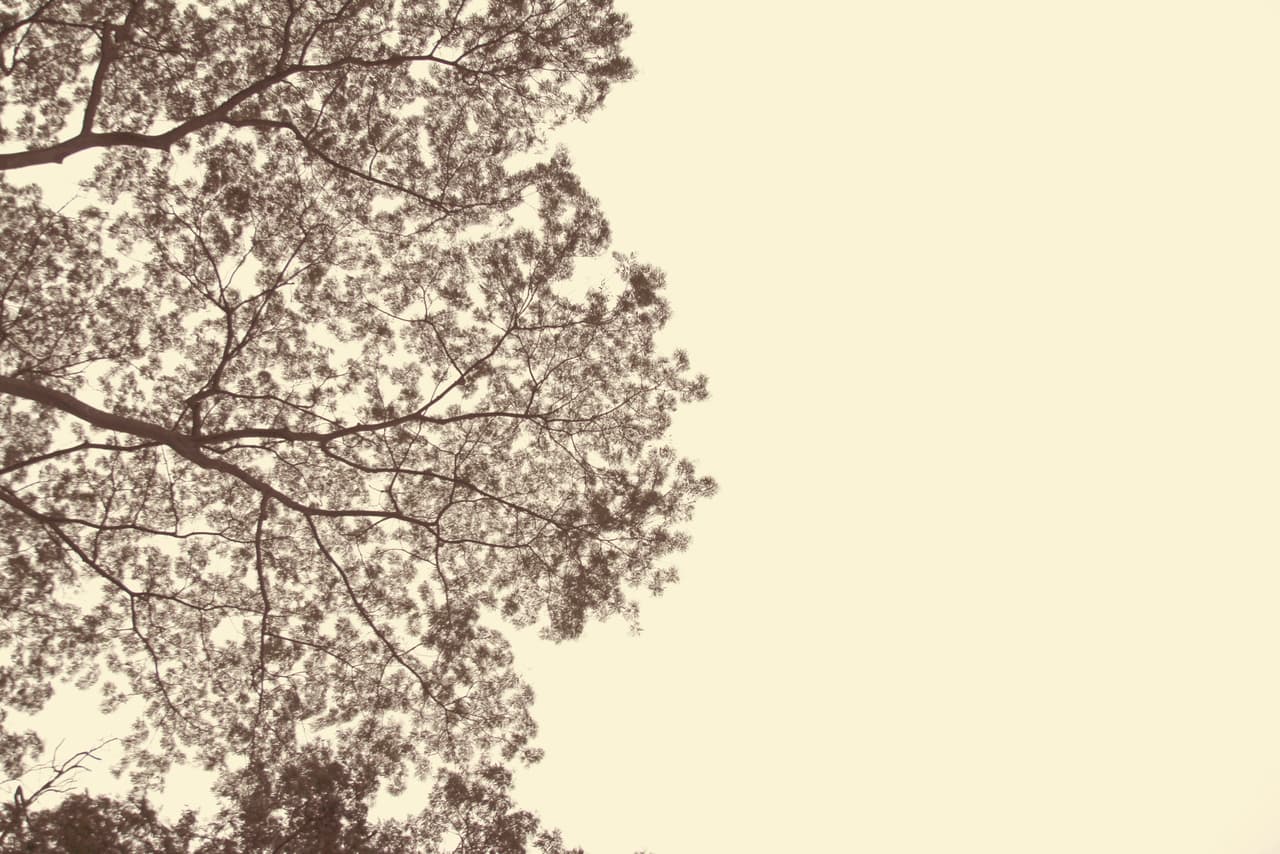 Eso significaría que ya no habría peligro latente.